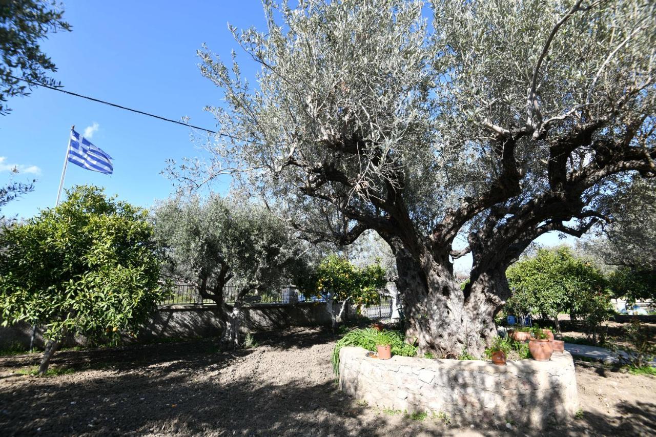 Kavalino Ferienhaus Kolymbia